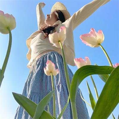 屠龙传奇